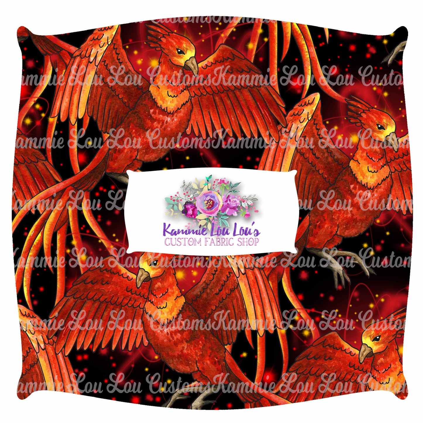 R43 Wizard School - Phoenix