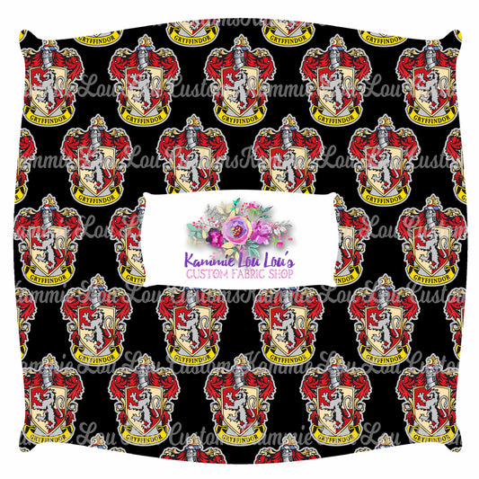 R43 Wizard School - Red House