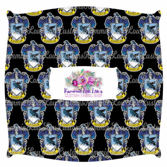 R43 Wizard School - blue House