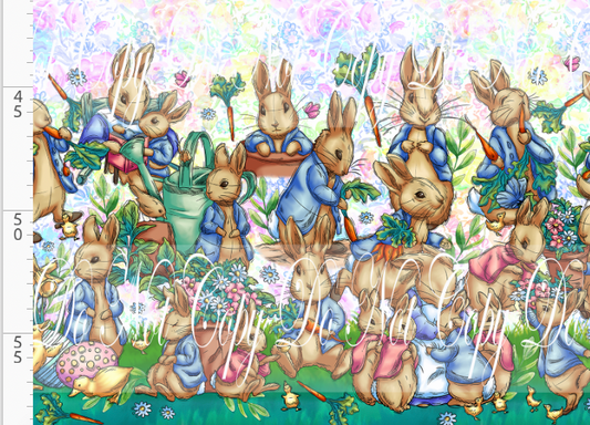 Curious Rabbit - Double Border - Rainbow