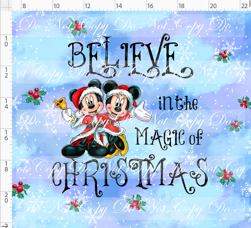 Christmas Globes - Panel - Believe - light blue - Adult