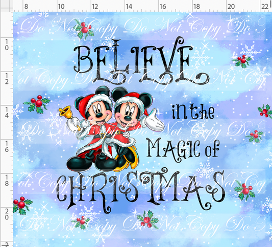 Christmas Globes - Panel - Believe - light blue - Adult