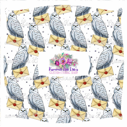 R43 Wizard School - Owl